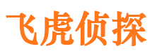 宾川侦探公司